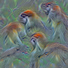 n02486261 patas, hussar monkey, Erythrocebus patas